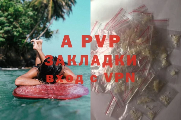 спиды Аркадак